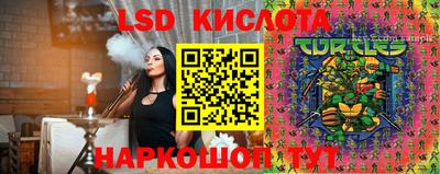 шишки Балашиха